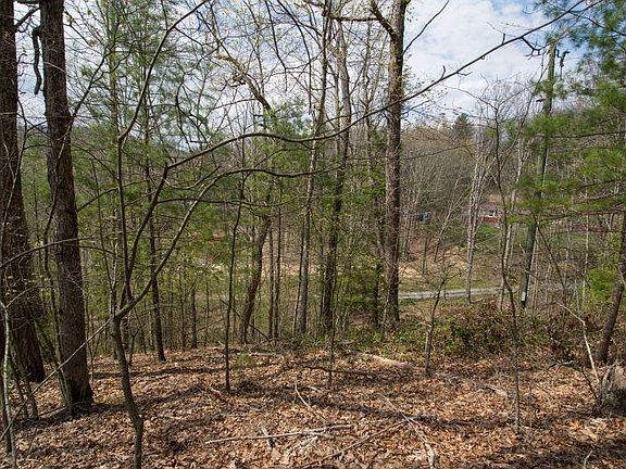 5th image of 241 Red Oak Ln