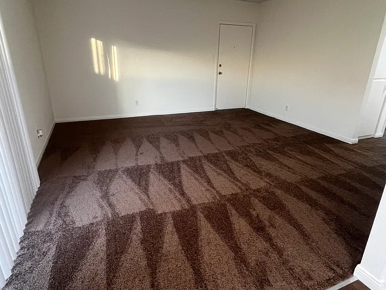 16405 Cornuta — Photo 14