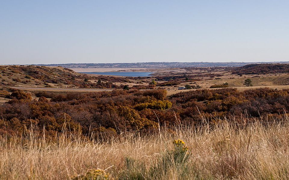 17377 Gandy Dancer Lane, Parker, CO 80134 MLS 8969040 Zillow