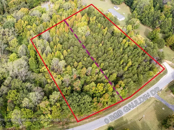 0 Bob Gauldin Rd Lot 6, Pelham, NC 27311