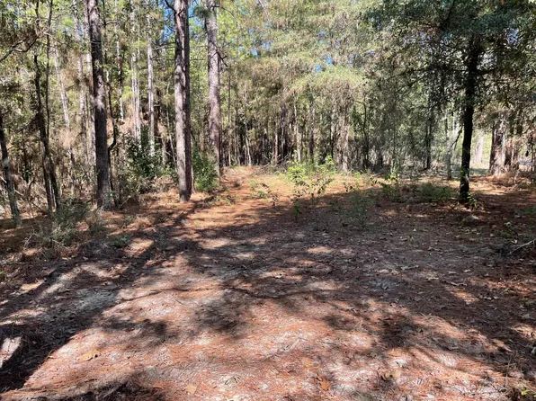 0 Prospres Ridge Rd, Columbia, MS 39429