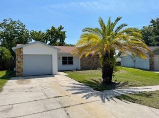 11519 Paperwood Pl, Riverview, FL 33579