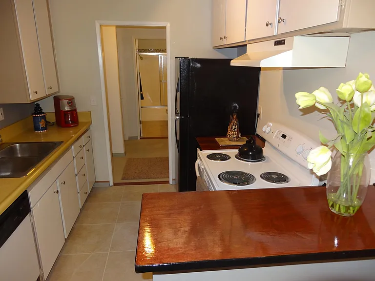 48 Paloma Ave #5 — Photo 5