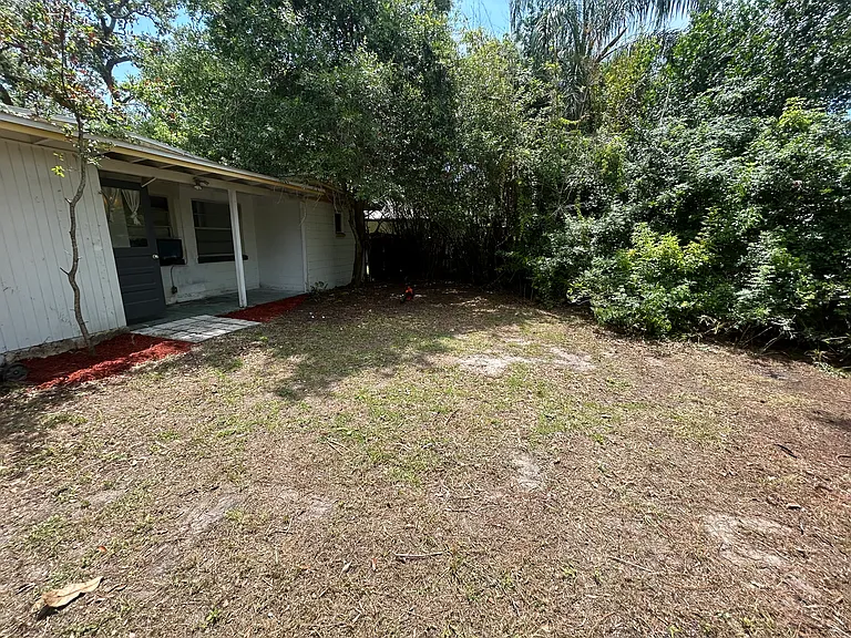 Backyard