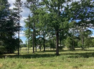 291 Young Rd, Box Springs, GA 31801