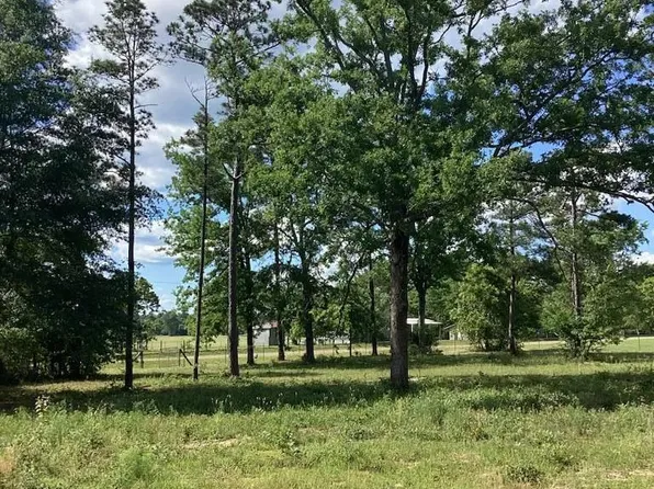 291 Young Rd, Box Springs, GA 31801