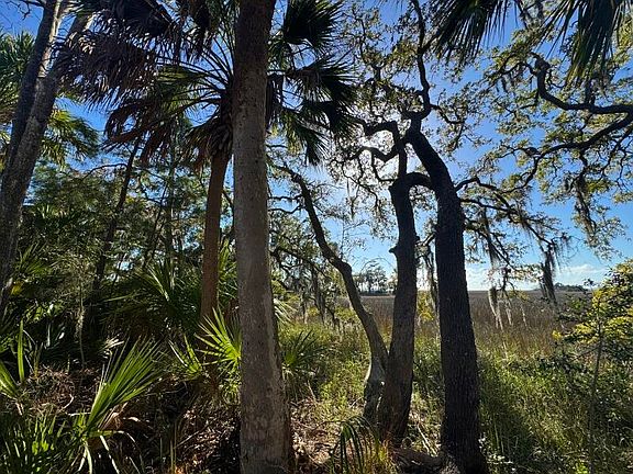 2nd image of 8785 Palmetto Rd