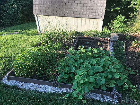 Garden area 