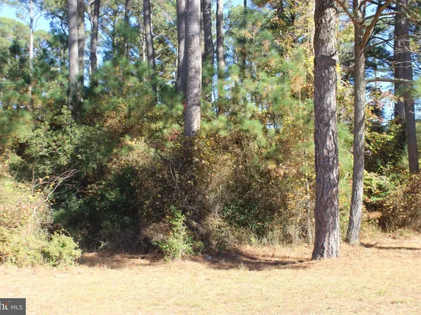 1140 Scimitar Way, Greenbackville, VA 23356