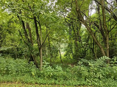 0 High Country Way, Cosby, TN, 37722