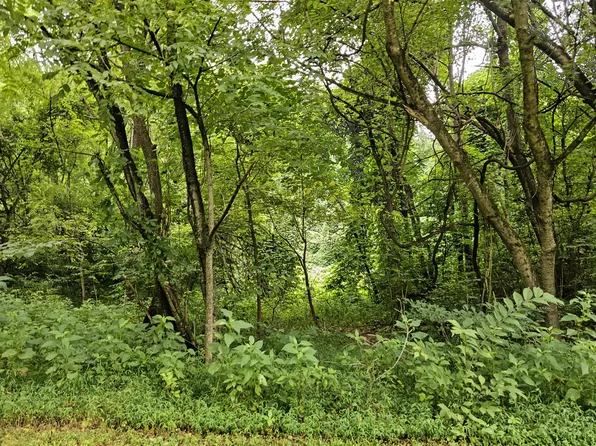 0 High Country Way, Cosby, TN 37722