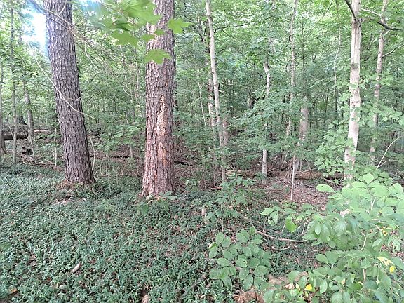 2nd image of 3952 & 4013 Devils Fork Rd