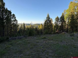 224 Crest Drive, Cimarron, CO 81220