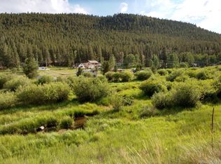 368 Bishop Rd, Bailey, CO 80421