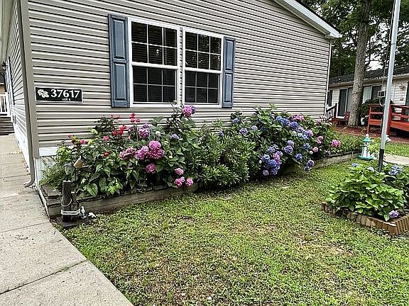 2nd image of 37617 Shady Cir