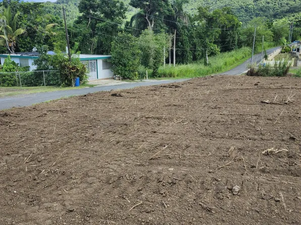 0 Bo Lomas, Canovanas, PR 00729