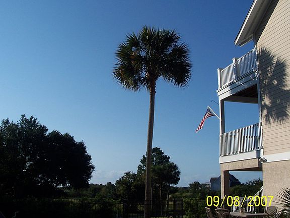 looking to the sea from pool