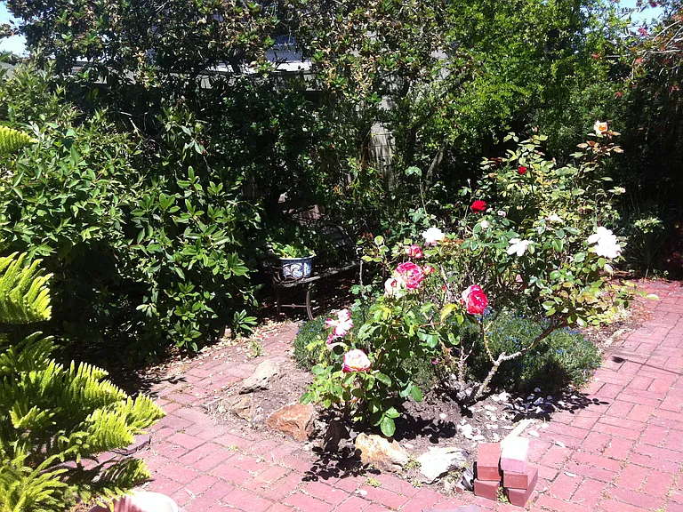 Colgate Ave — Photo 12