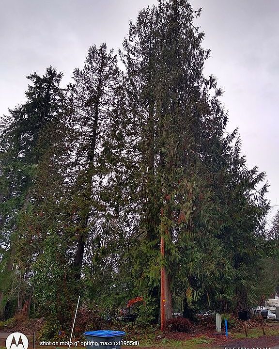 560 E Wood Ln Shelton WA Zillow