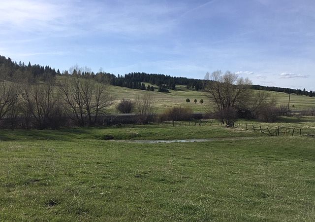 2nd image of 0 Hwy 3 Swamp Creek Rd