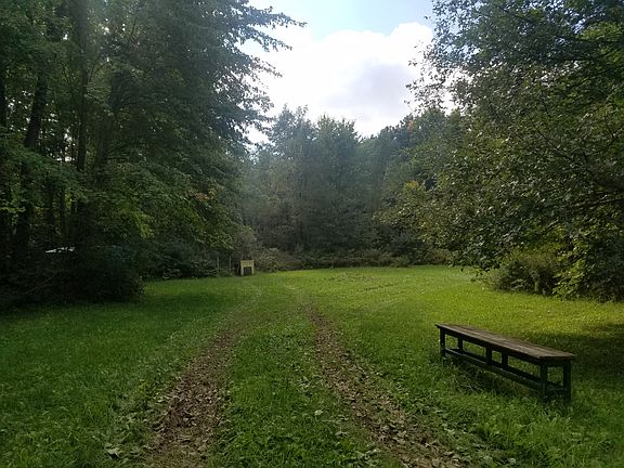 Drive way to more clearing