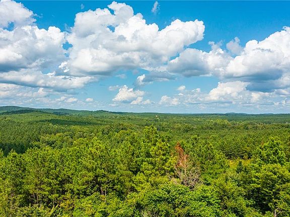 3rd image of 61 Morning Pines Trl