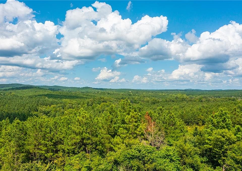 1st image of 58 Morning Pines Trl