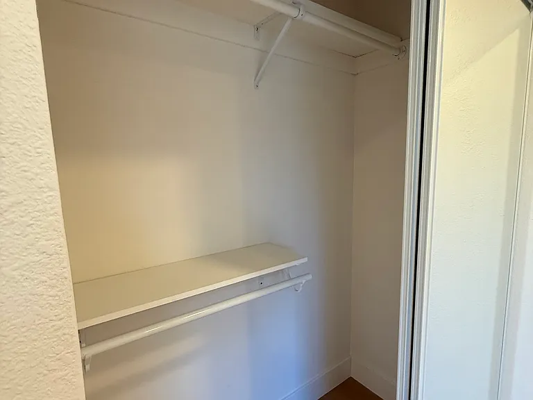 Downstairs BR Closet