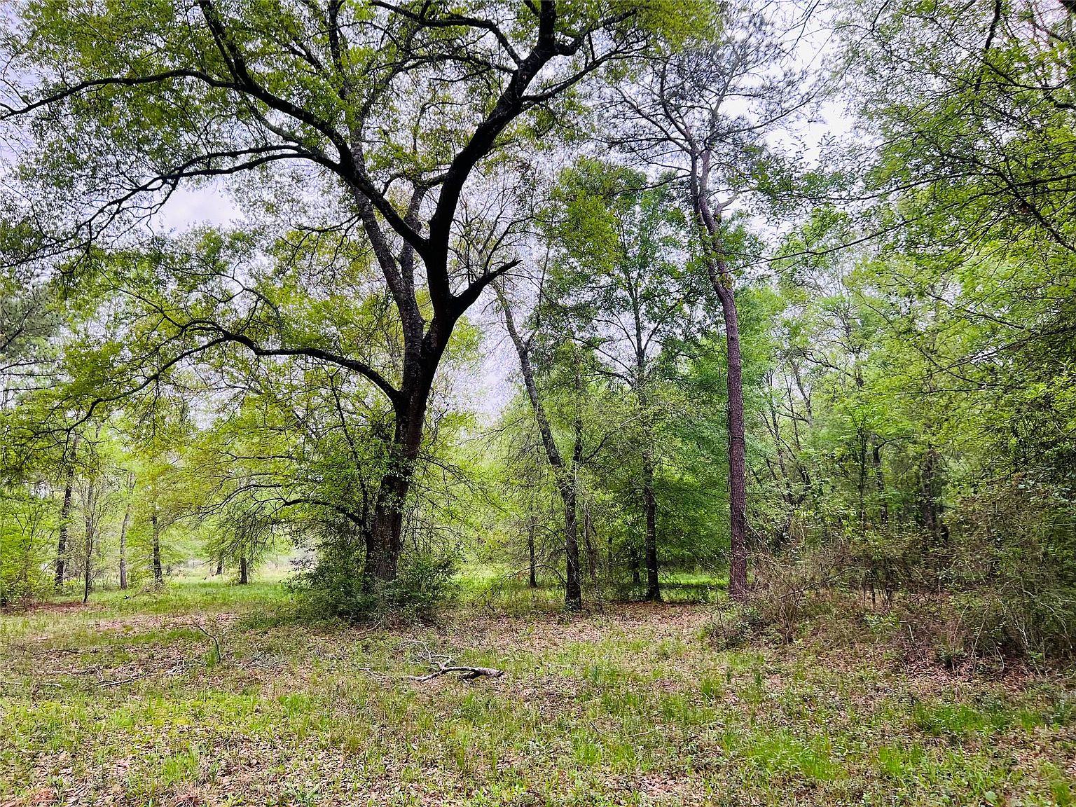 0 Creighton Rd, Conroe, TX 77302 Zillow