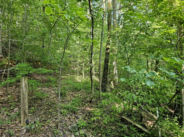 LOT 10 Kristina Way, Sevierville, TN 37862