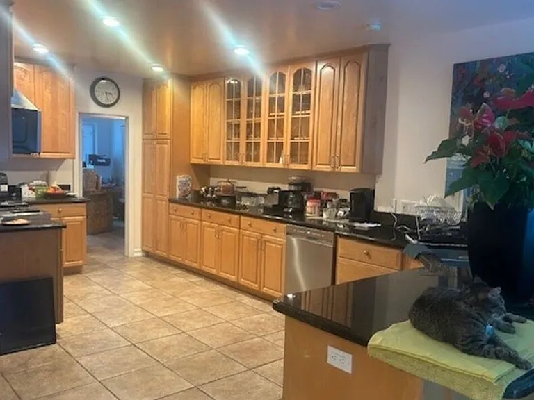 1664 Benedict Canyon Dr — Photo 4