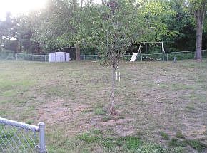 Large fenced back yard