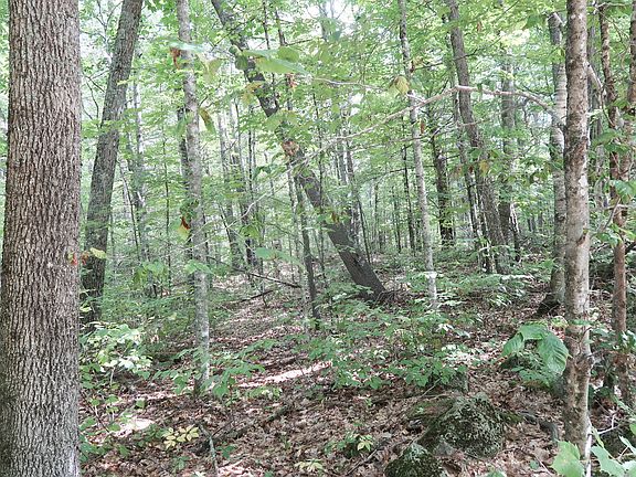 4th image of Lot 37A Pierces Point Road