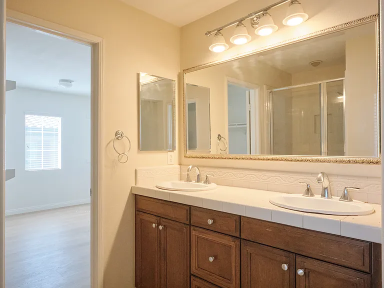 Master Bathroom counter and Walk-in closet