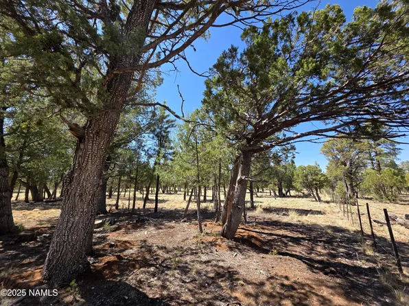 3874 Durango Dr, Happy Jack, AZ 86024