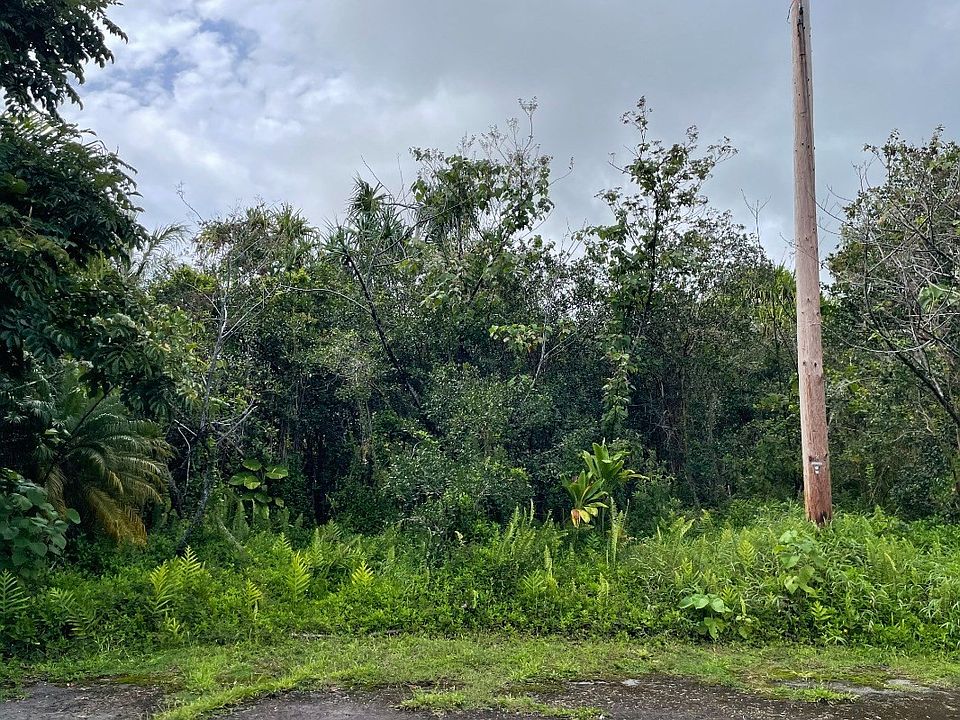 1st image of Pauhau Pl Lot 225
