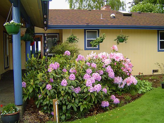 Covered entry sidewalk
