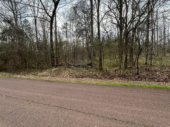 0 Reaves Rd, Middleton, TN 38052