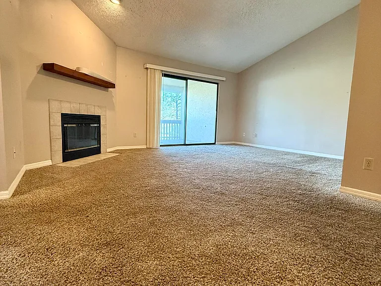 218 Cranes Lake Dr — Photo 4