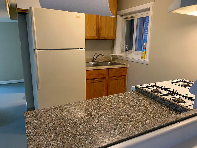 5248 W Altgeld St #G — Photo 20