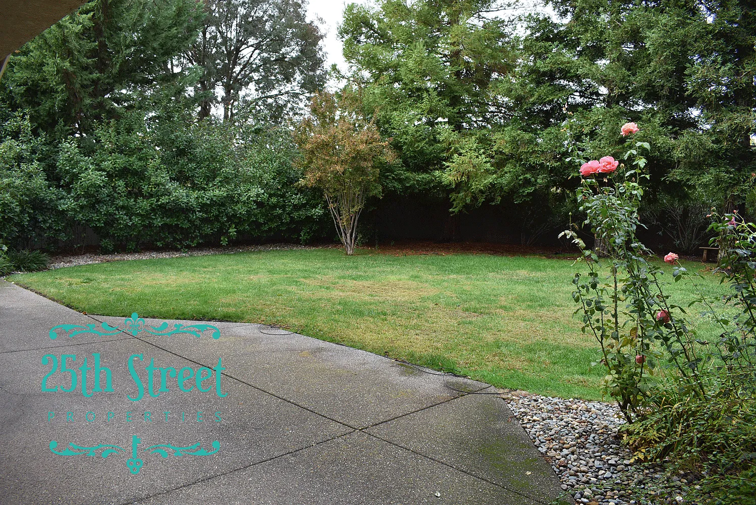 5637 Lantern Grove Lane - 1 — Photo 3