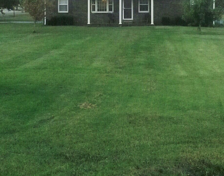 2nd image of 1018 Rome Park
