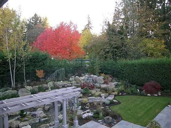 Back Yard Late Summer