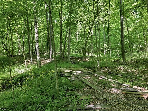 5th image of 767 County Road 500
