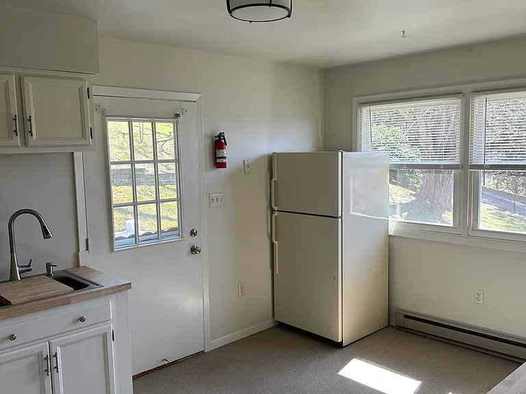 235 Spring Garden Ave #1 — Photo 2