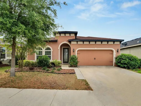 11110 Spring Point Cir, Riverview, FL 33579