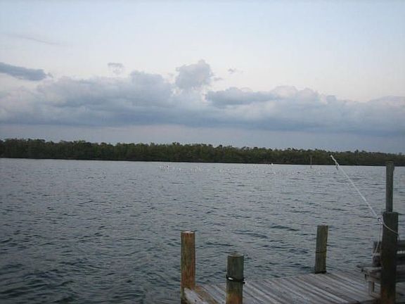 view of mangroves across Matanza Pass