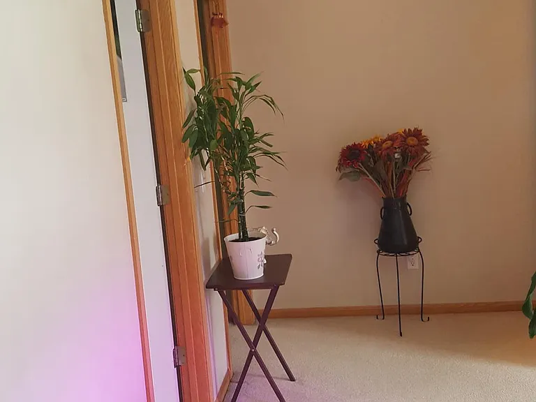 Decent size loft for your office or kids play area