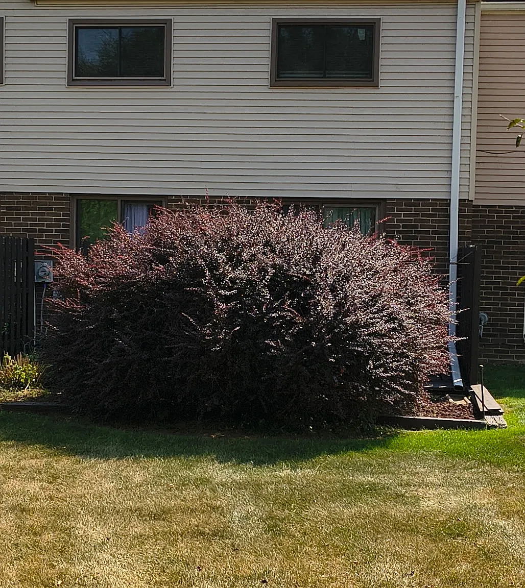 2 bed, 1050 sqft, $1,850 — Photo 2