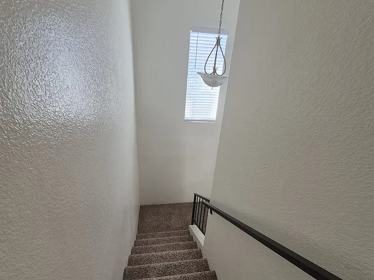Tiger Ln — Photo 15
